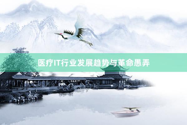 医疗IT行业发展趋势与革命愚弄