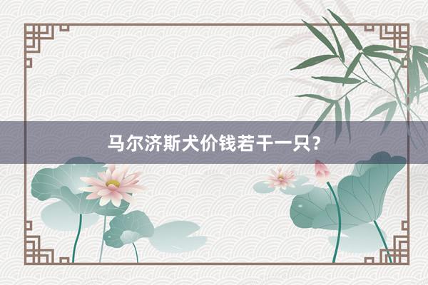 马尔济斯犬价钱若干一只？
