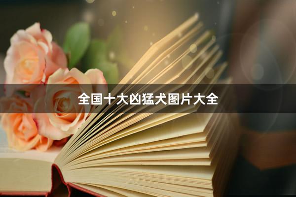 全国十大凶猛犬图片大全